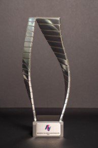 Manufacturing Sector Excellence Award in category 3