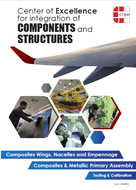 Center of Excellence for integration of COMPONENTS and STRUCTURES